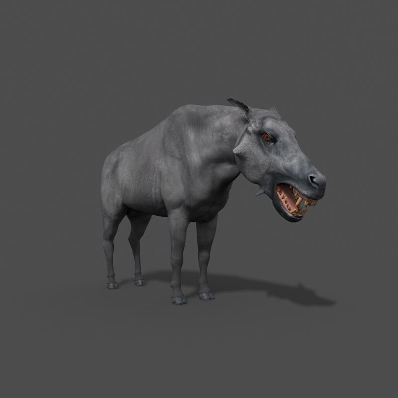 Hell Pig - daeodon shoshonensis 3d model 3D model_9