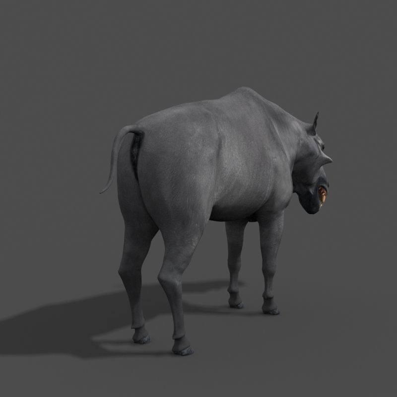 Hell Pig - daeodon shoshonensis 3d model 3D model_11
