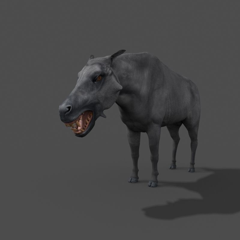 Hell Pig - daeodon shoshonensis 3d model 3D model_10