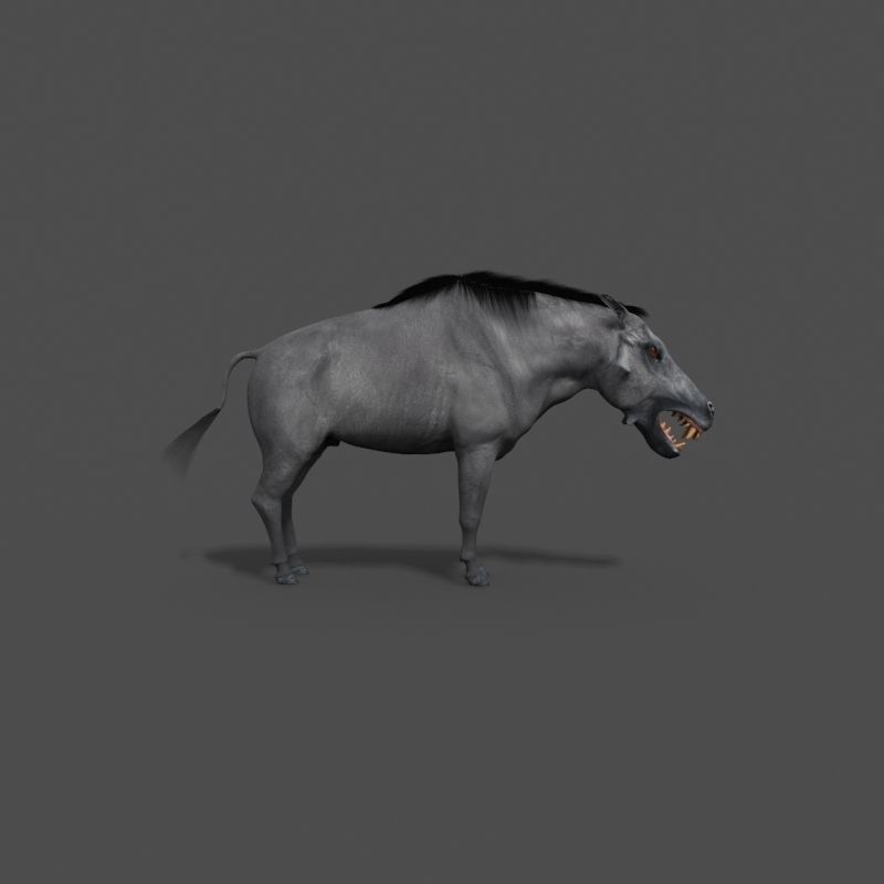 Hell Pig - daeodon shoshonensis 3d model 3D model_4