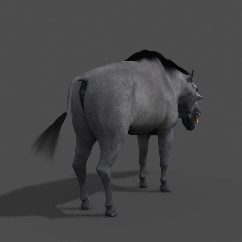 Hell Pig - daeodon shoshonensis 3d model 3D model_8