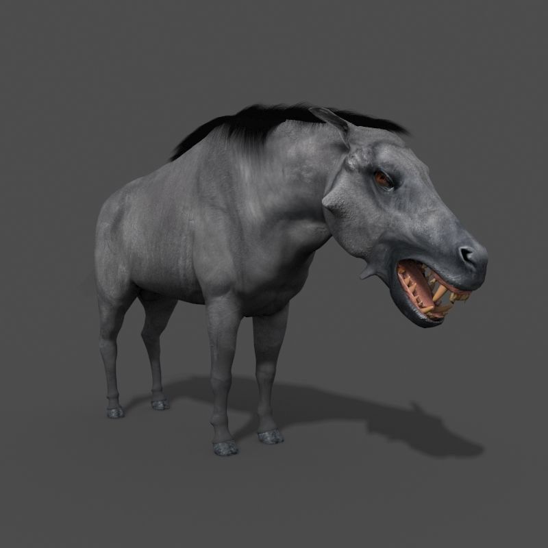 Hell Pig - daeodon shoshonensis 3d model 3D model_13