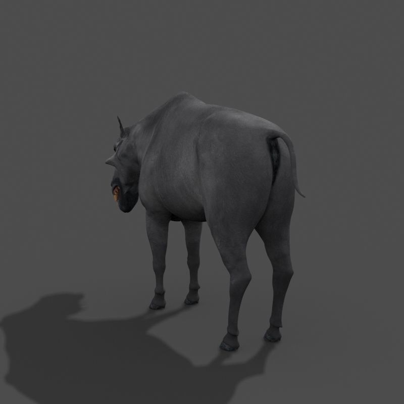 Hell Pig - daeodon shoshonensis 3d model 3D model_7