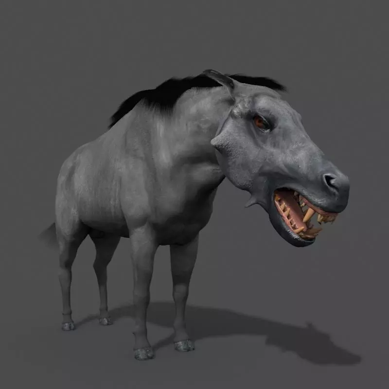 Hell Pig - daeodon shoshonensis 3d model 3D model_0