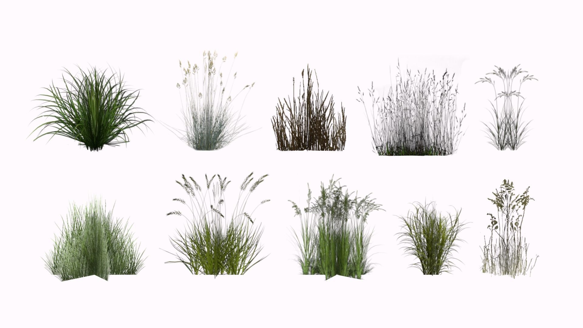 Lowpoly grass set 2 grasses Low-poly 3D model_3
