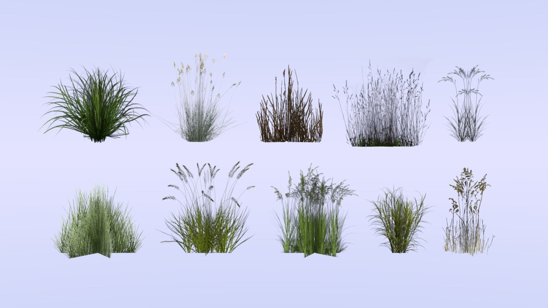 Lowpoly grass set 2 grasses Low-poly 3D model_4