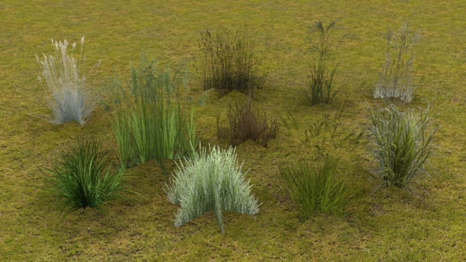 Lowpoly grass set 2 grasses Low-poly 3D model_6