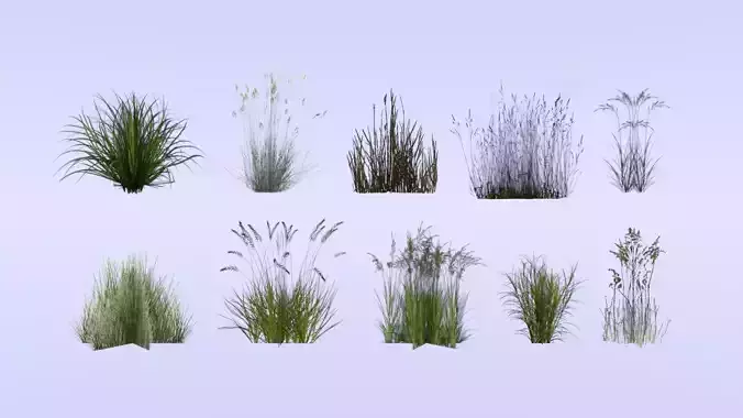 Lowpoly grass set 2 grasses Low-poly 3D model