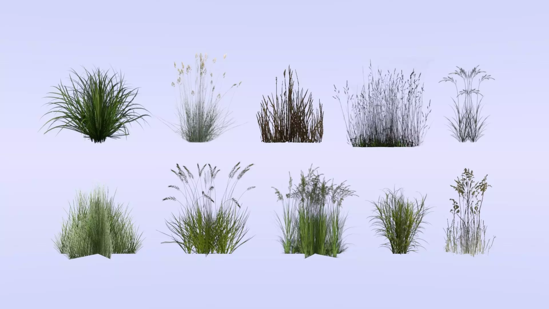 Lowpoly grass set 2 grasses Low-poly 3D model_0