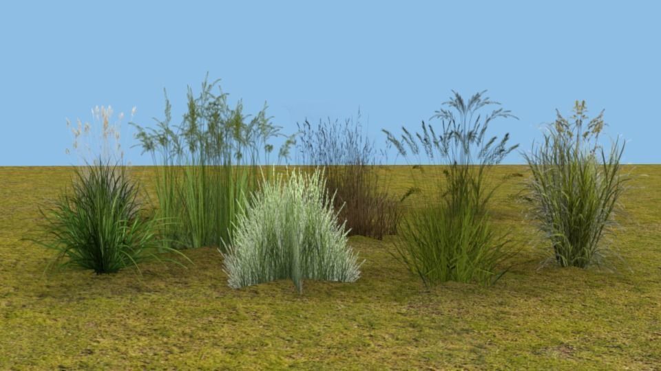 Lowpoly grass set 2 grasses Low-poly 3D model_7