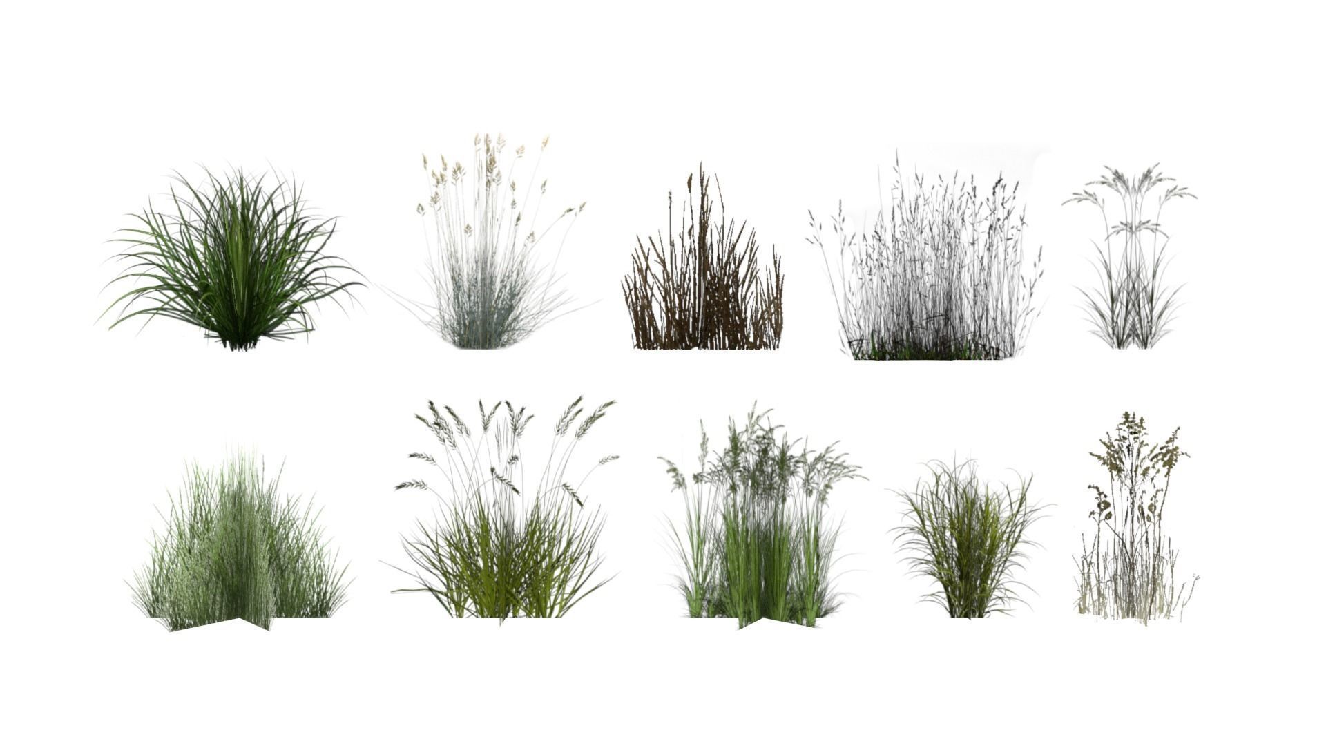 Lowpoly grass set 2 grasses Low-poly 3D model_2