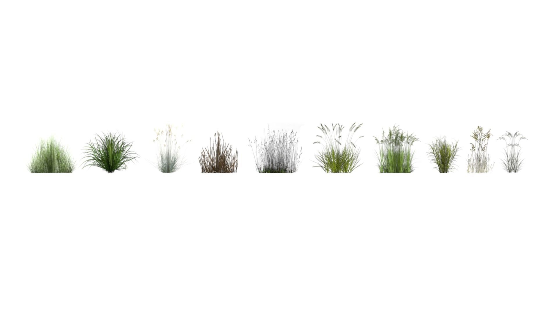 Lowpoly grass set 2 grasses Low-poly 3D model_5