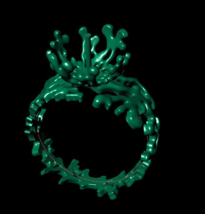 Ring akr 33 3D print model_12