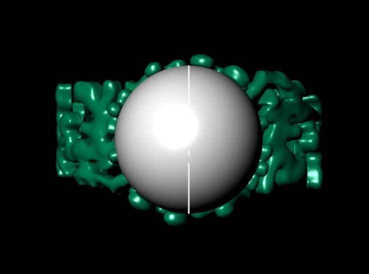 Ring akr 33 3D print model_10