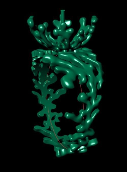 Ring akr 33 3D print model_9