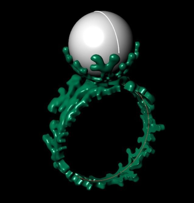 Ring akr 33 3D print model_15