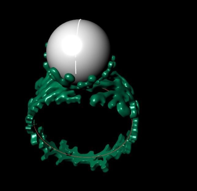 Ring akr 33 3D print model_8