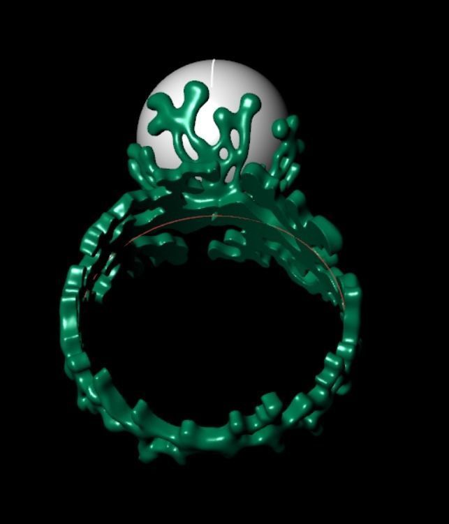 Ring akr 33 3D print model_13