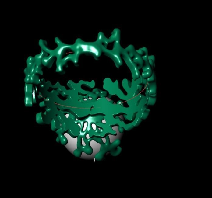 Ring akr 33 3D print model_11