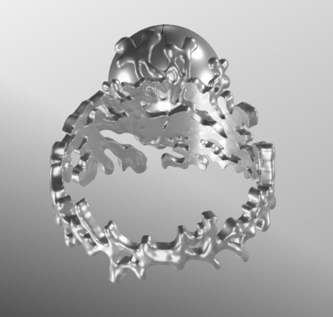 Ring akr 33 3D print model_19