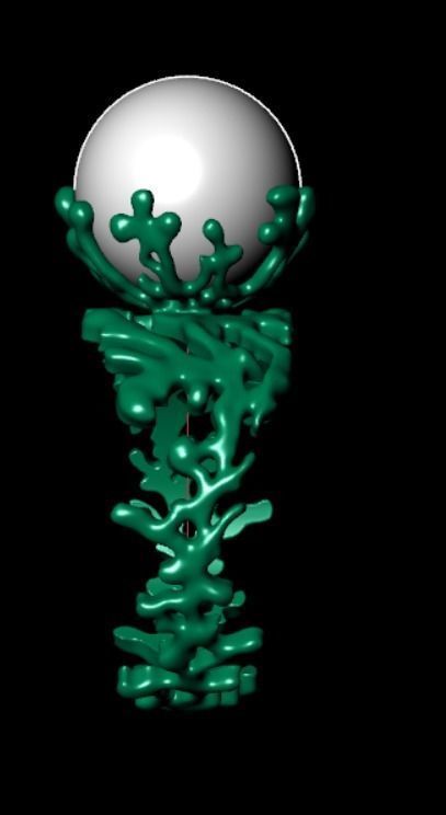 Ring akr 33 3D print model_7