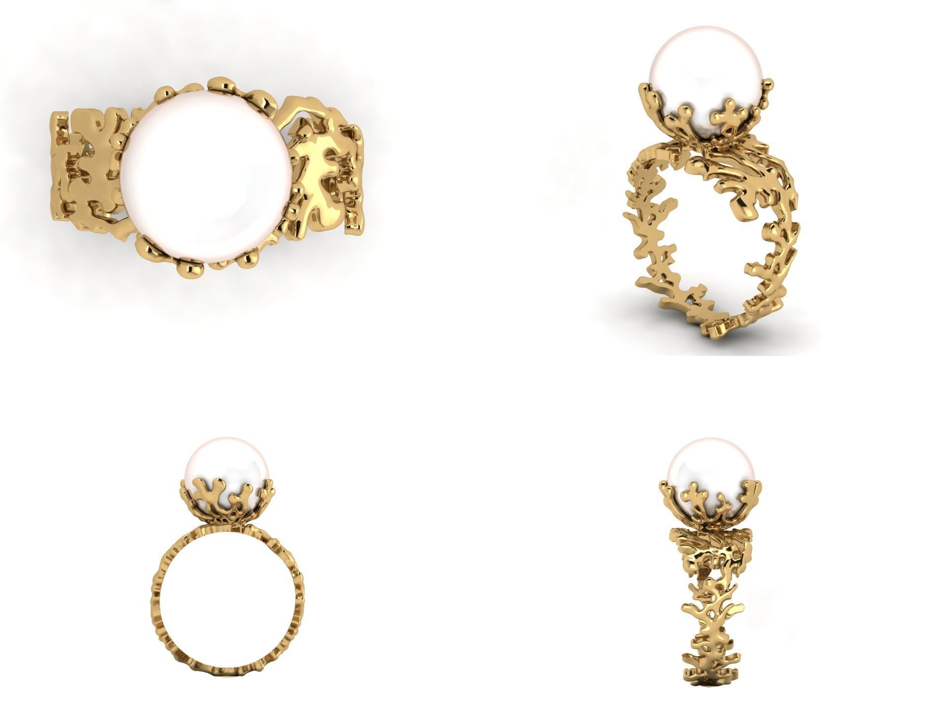 Ring akr 33 3D print model_2