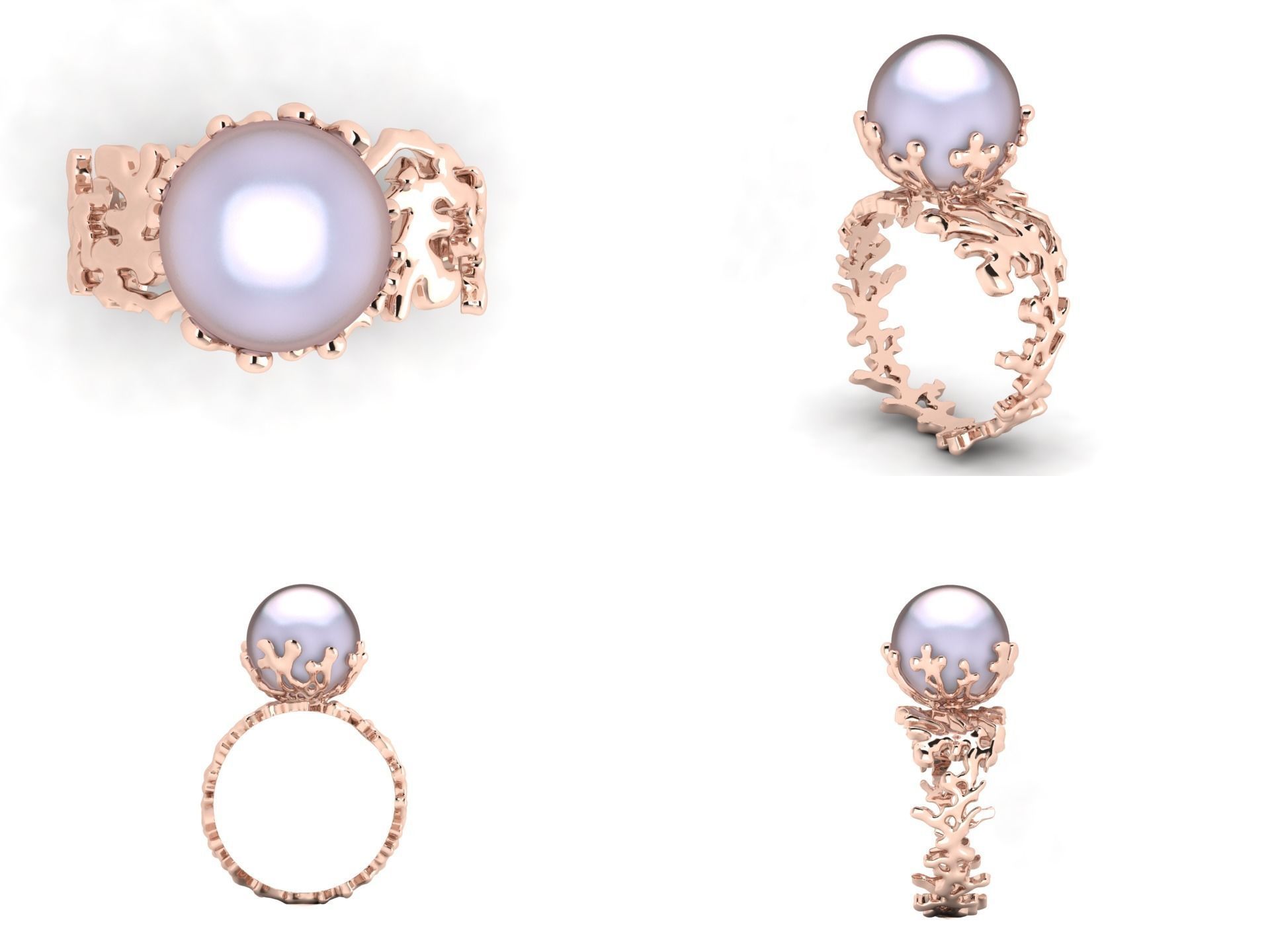 Ring akr 33 3D print model_3