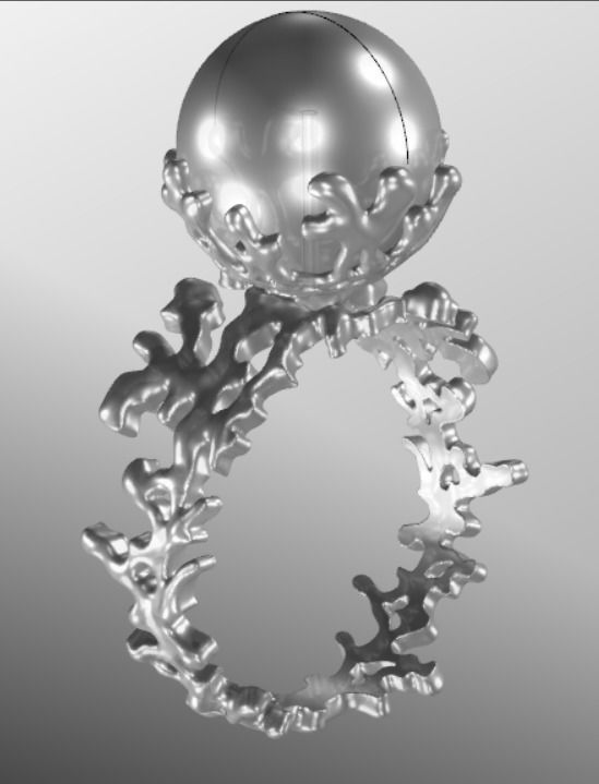 Ring akr 33 3D print model_16