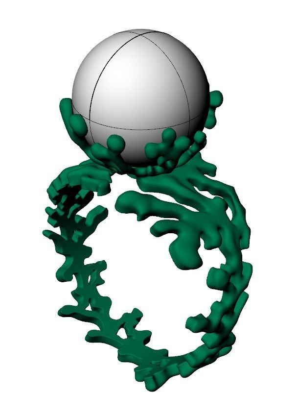 Ring akr 33 3D print model_1