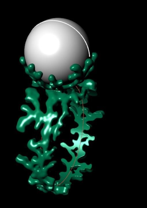 Ring akr 33 3D print model_14