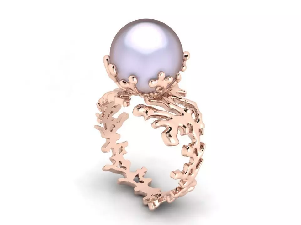 Ring akr 33 3D print model_0