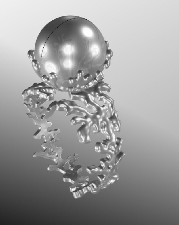 Ring akr 33 3D print model_17