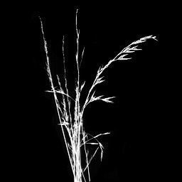 ruined city  Low-poly 3D model_7