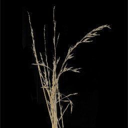 ruined city  Low-poly 3D model_4