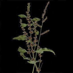 ruined city  Low-poly 3D model_3