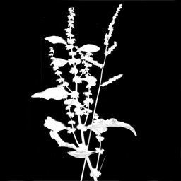 ruined city  Low-poly 3D model_6