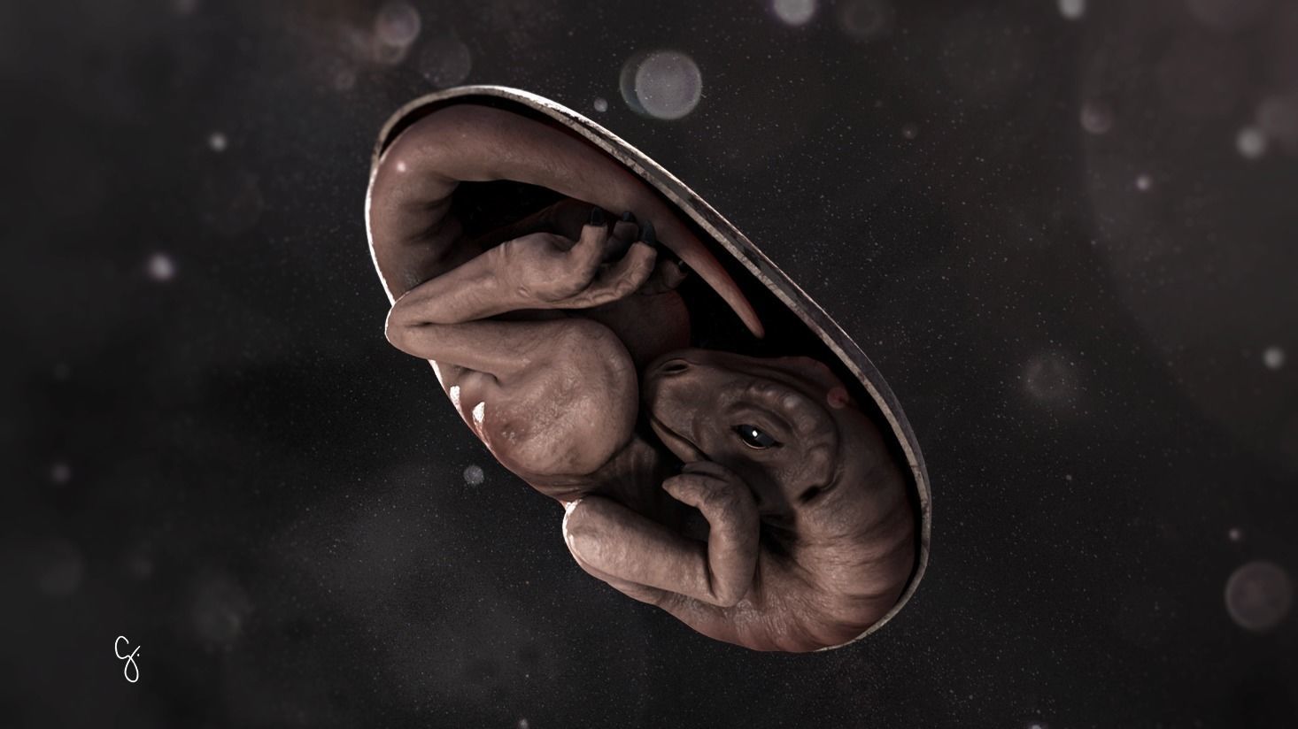 Dinosaur Embryo Low-poly 3D model_2