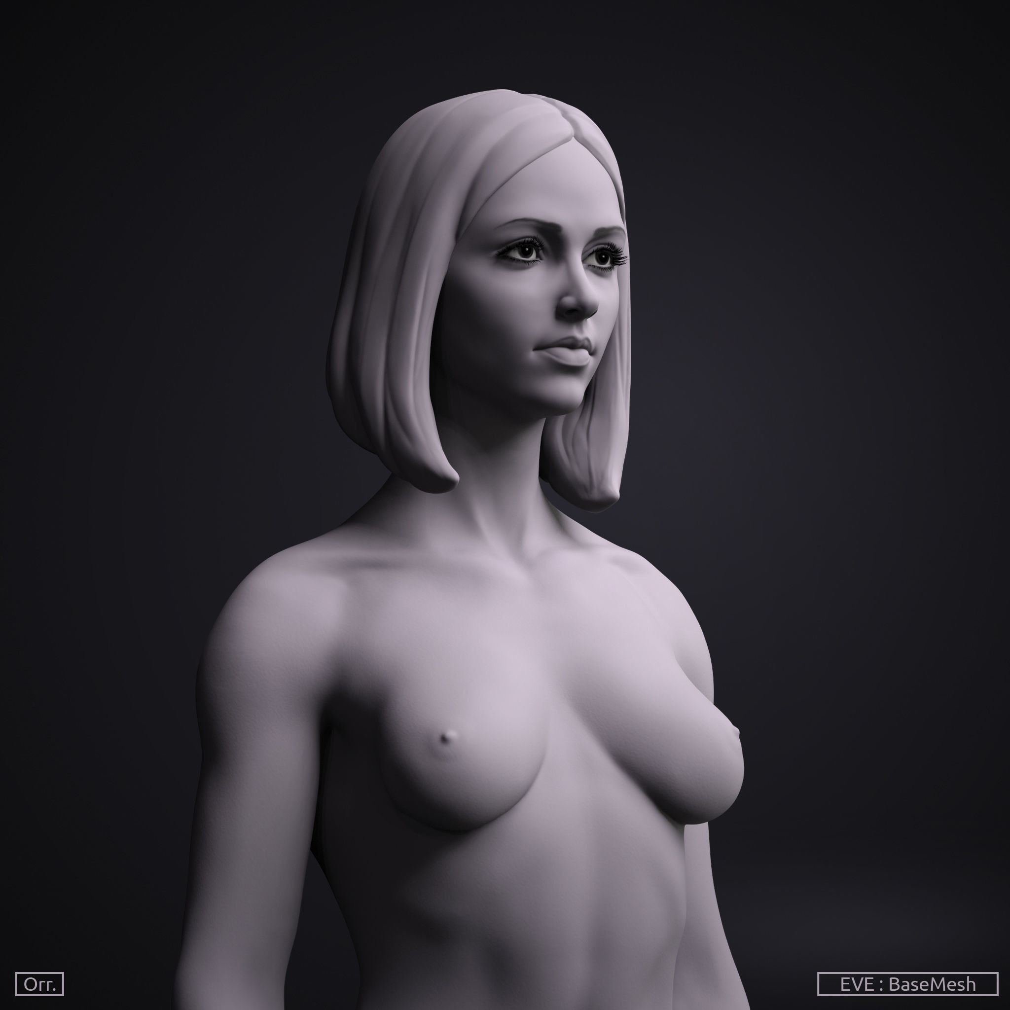Female BaseMesh - Eve 3D model_8
