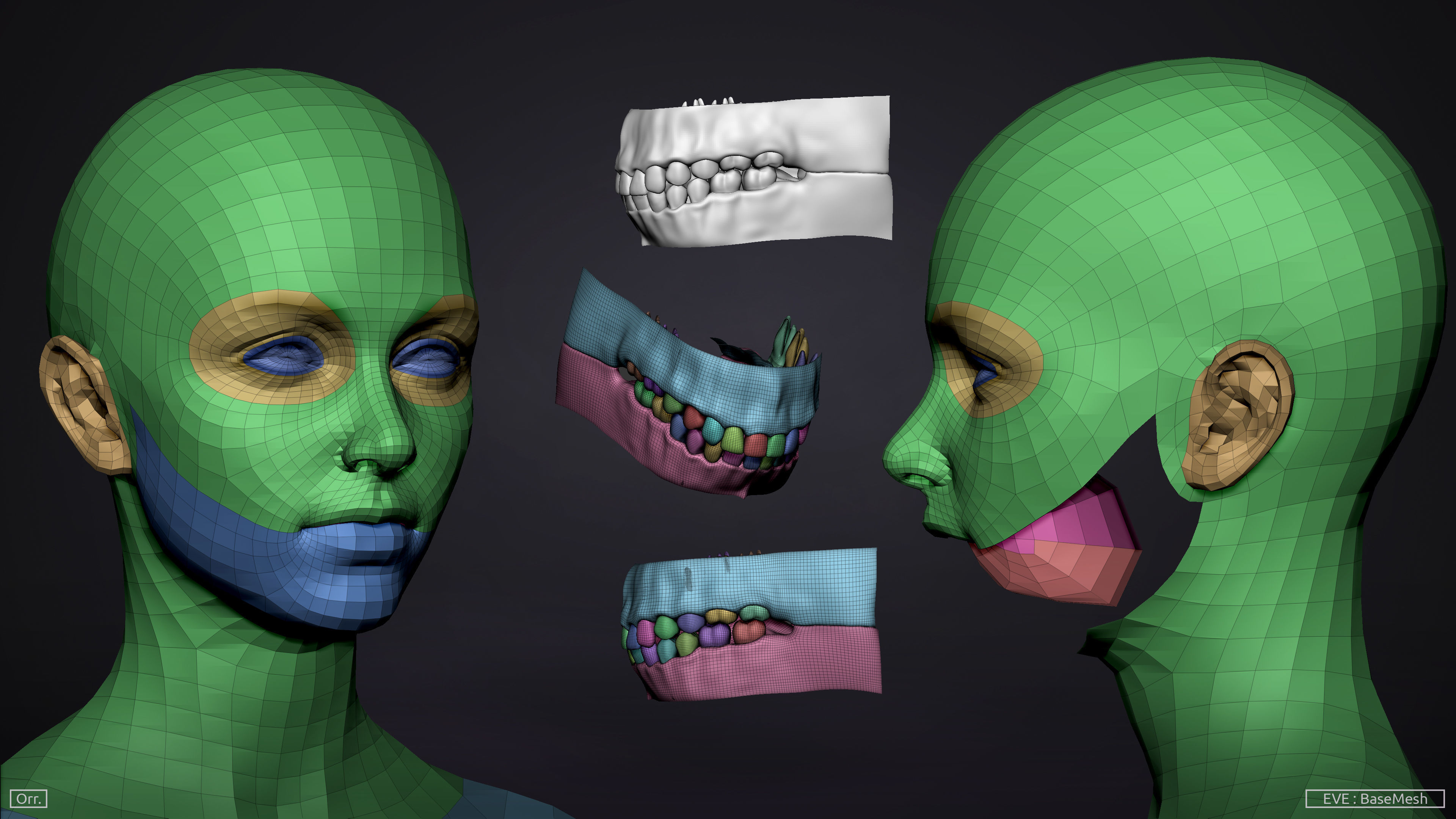 Female BaseMesh - Eve 3D model_5