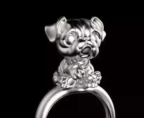 dog ring