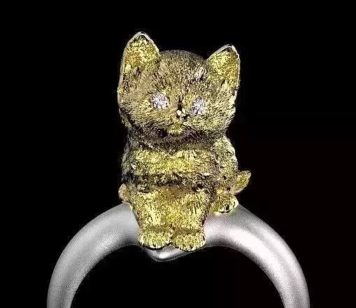 ring cat