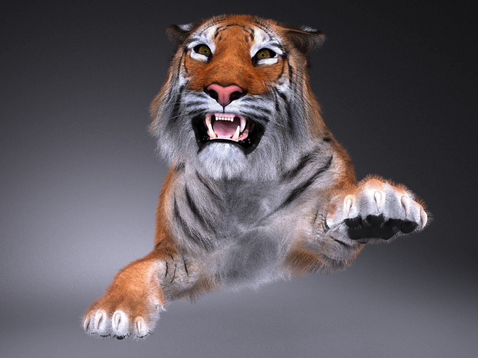 Sumatran Tiger for 3dsmax 3D model_14