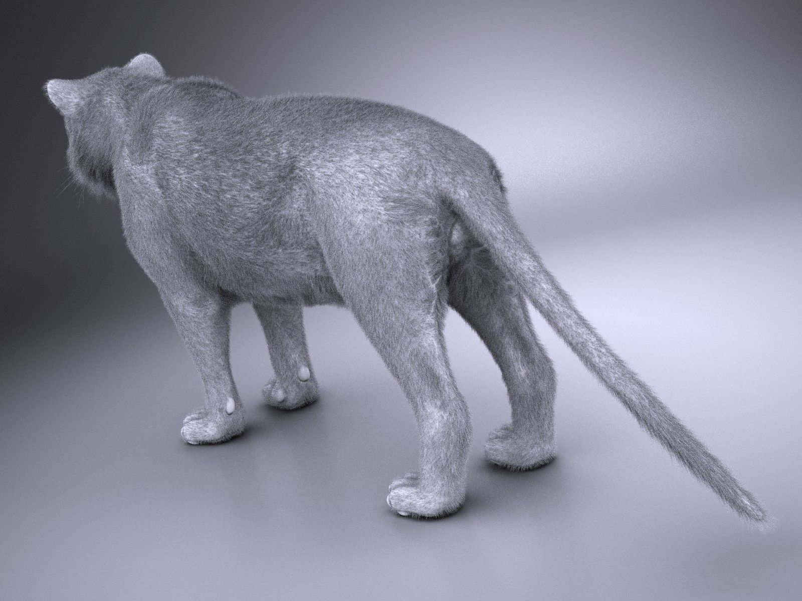 Sumatran Tiger for 3dsmax 3D model_17