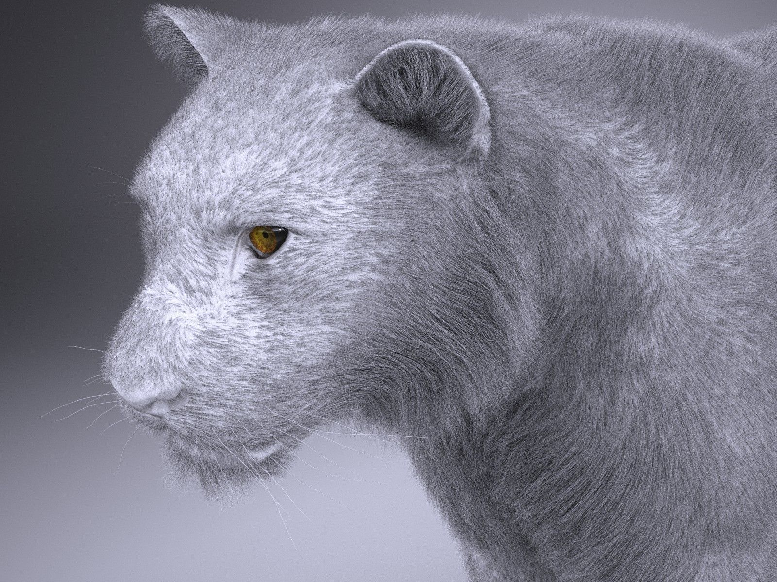 Sumatran Tiger for 3dsmax 3D model_16