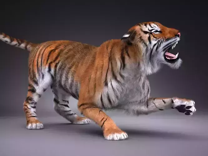 Sumatran Tiger for 3dsmax