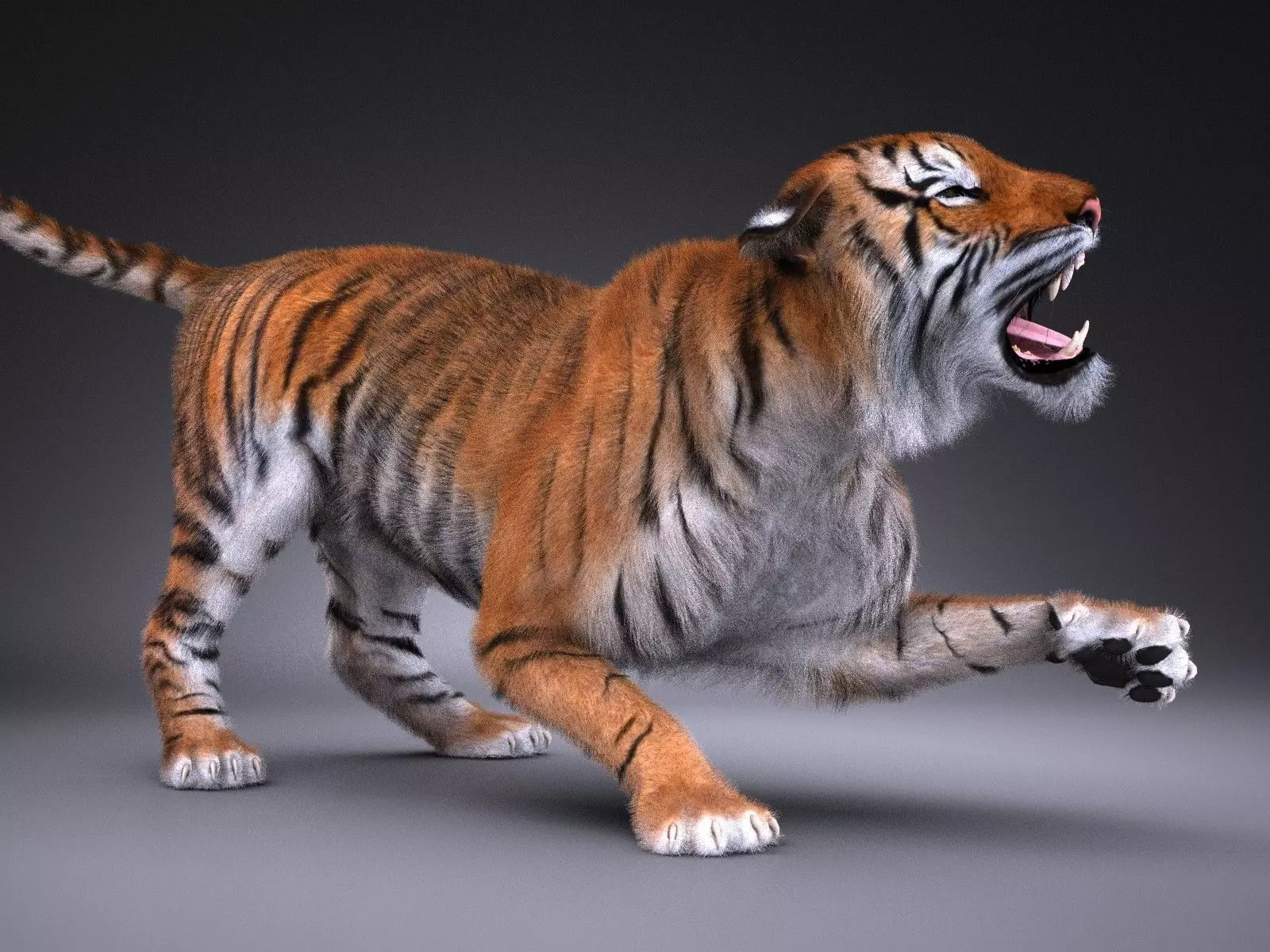 Sumatran Tiger for 3dsmax 3D model_0