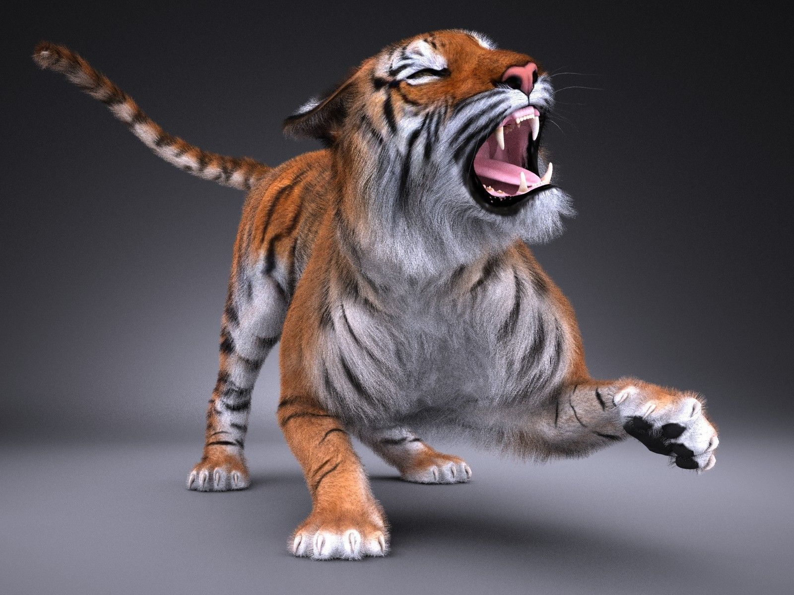 Sumatran Tiger for 3dsmax 3D model_1