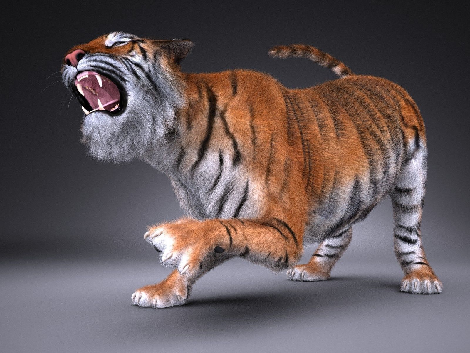 Sumatran Tiger for 3dsmax 3D model_4