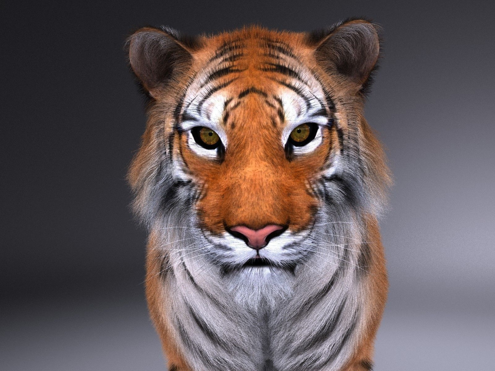 Sumatran Tiger for 3dsmax 3D model_10