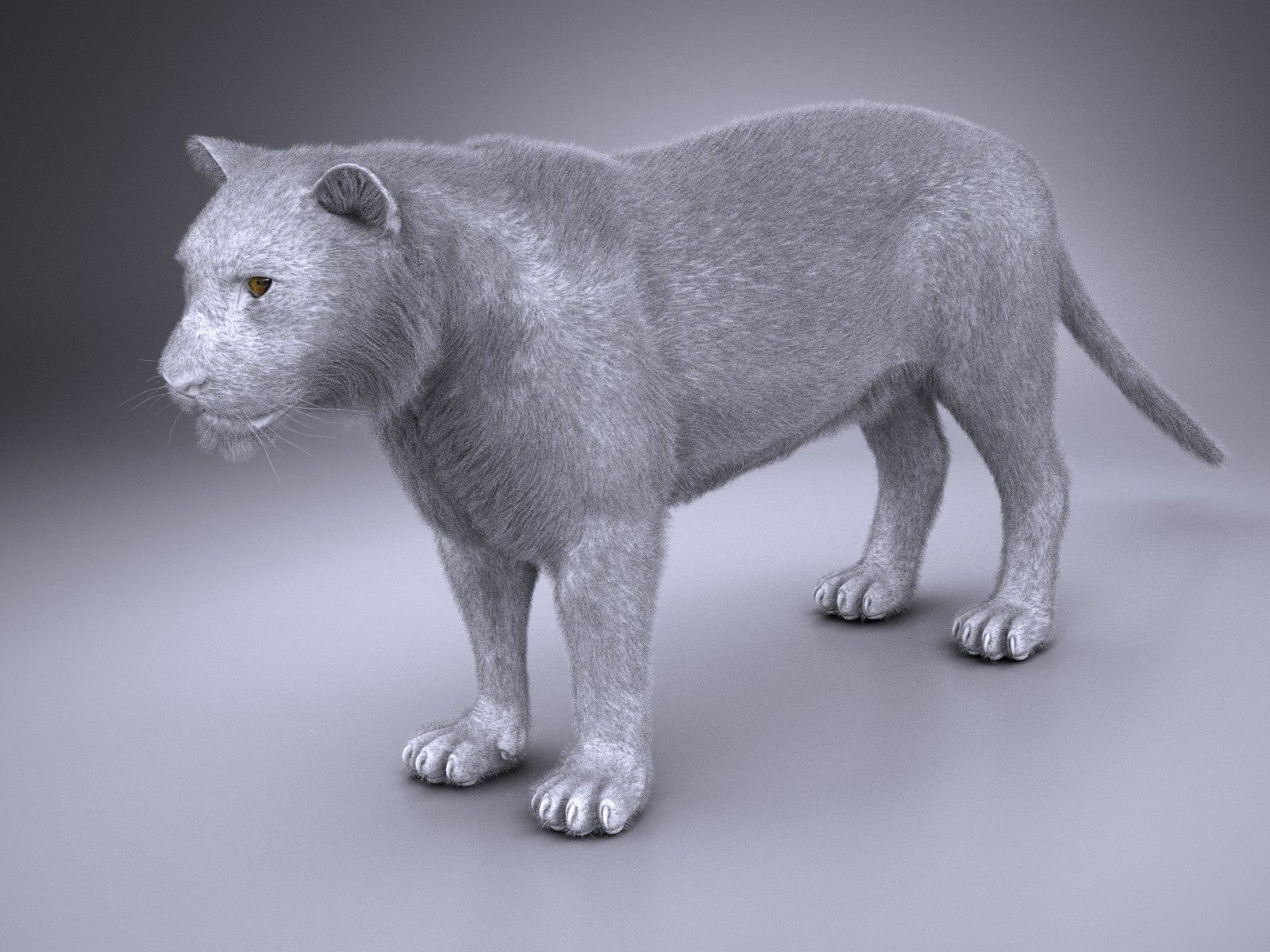 Sumatran Tiger for 3dsmax 3D model_15